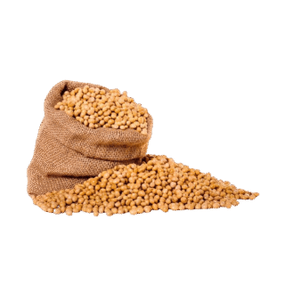 Soyabean